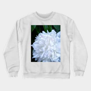 White Peony flower photograph Crewneck Sweatshirt